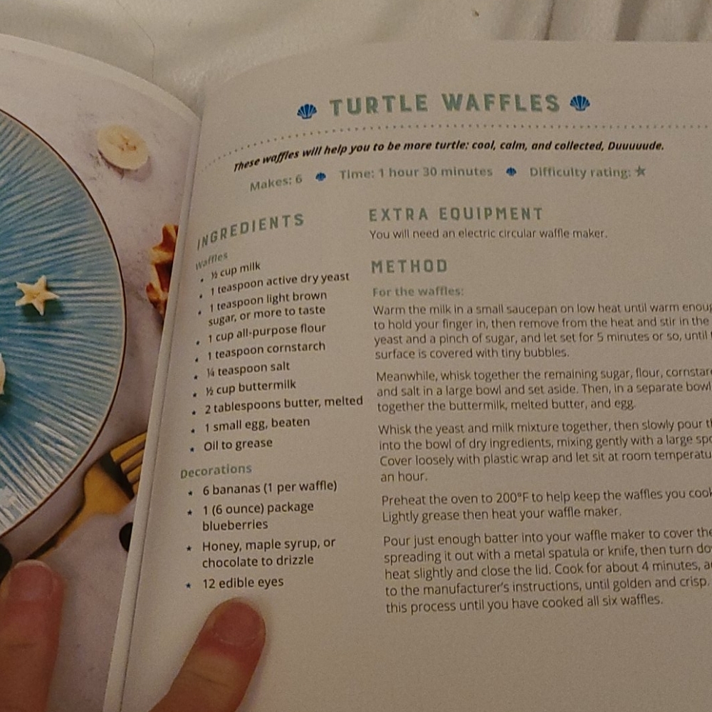 The Mermaid Cookbook 🧜‍♀️ - Picture 16 of 17